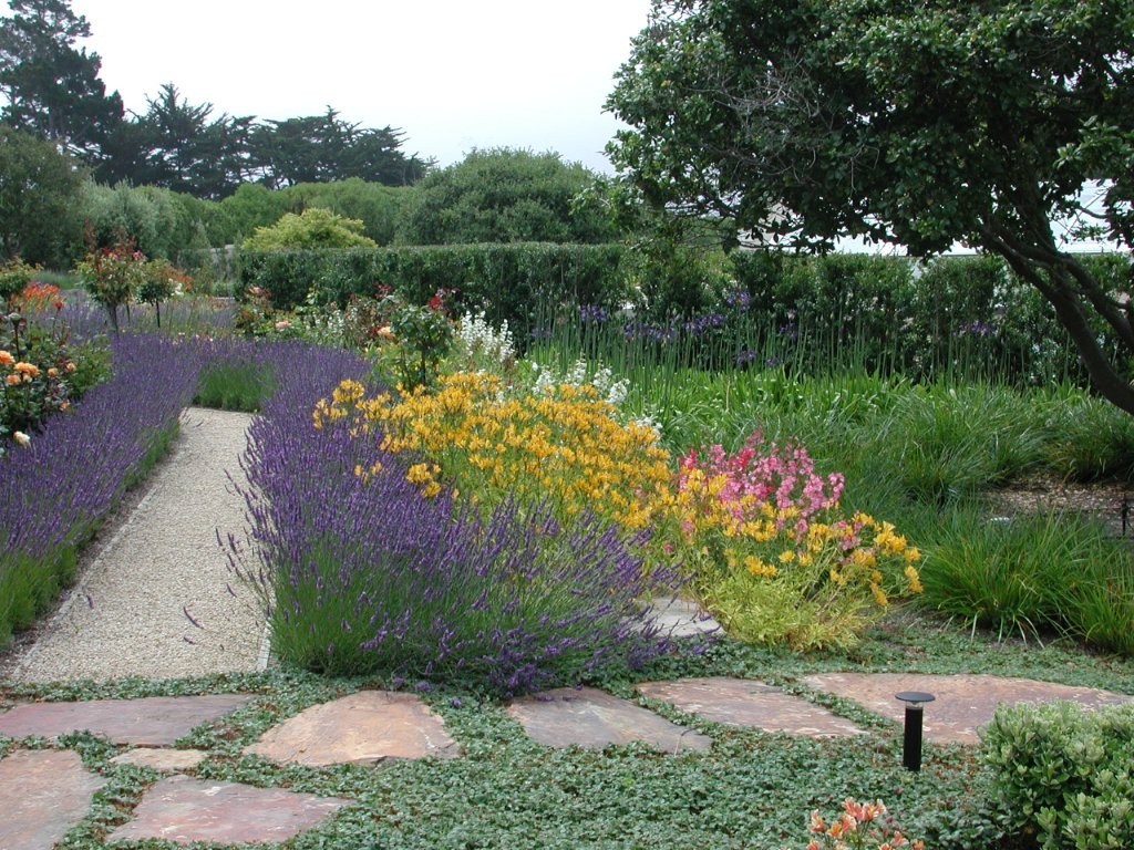 lavender walk