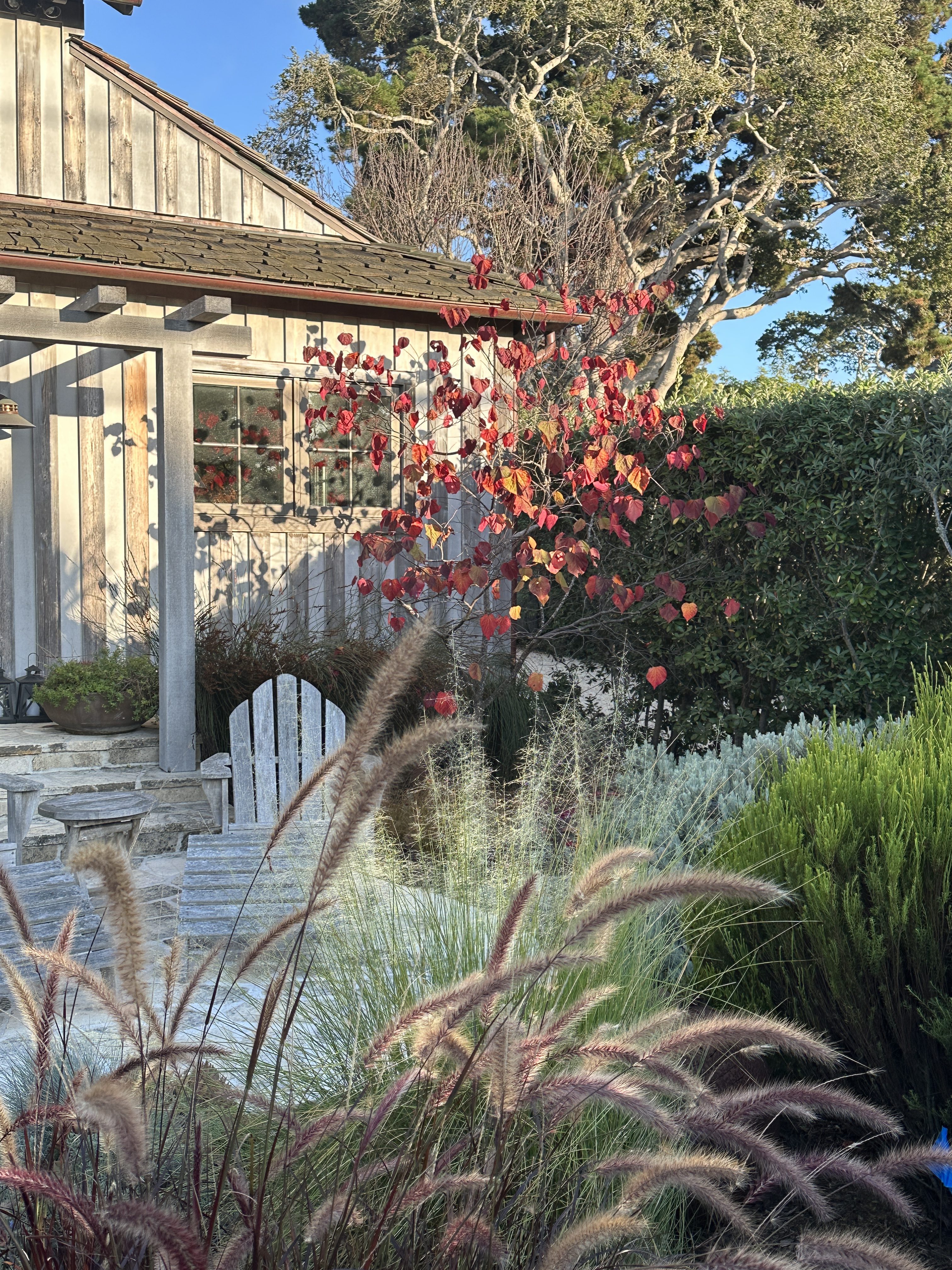 Small Carmel Garden
