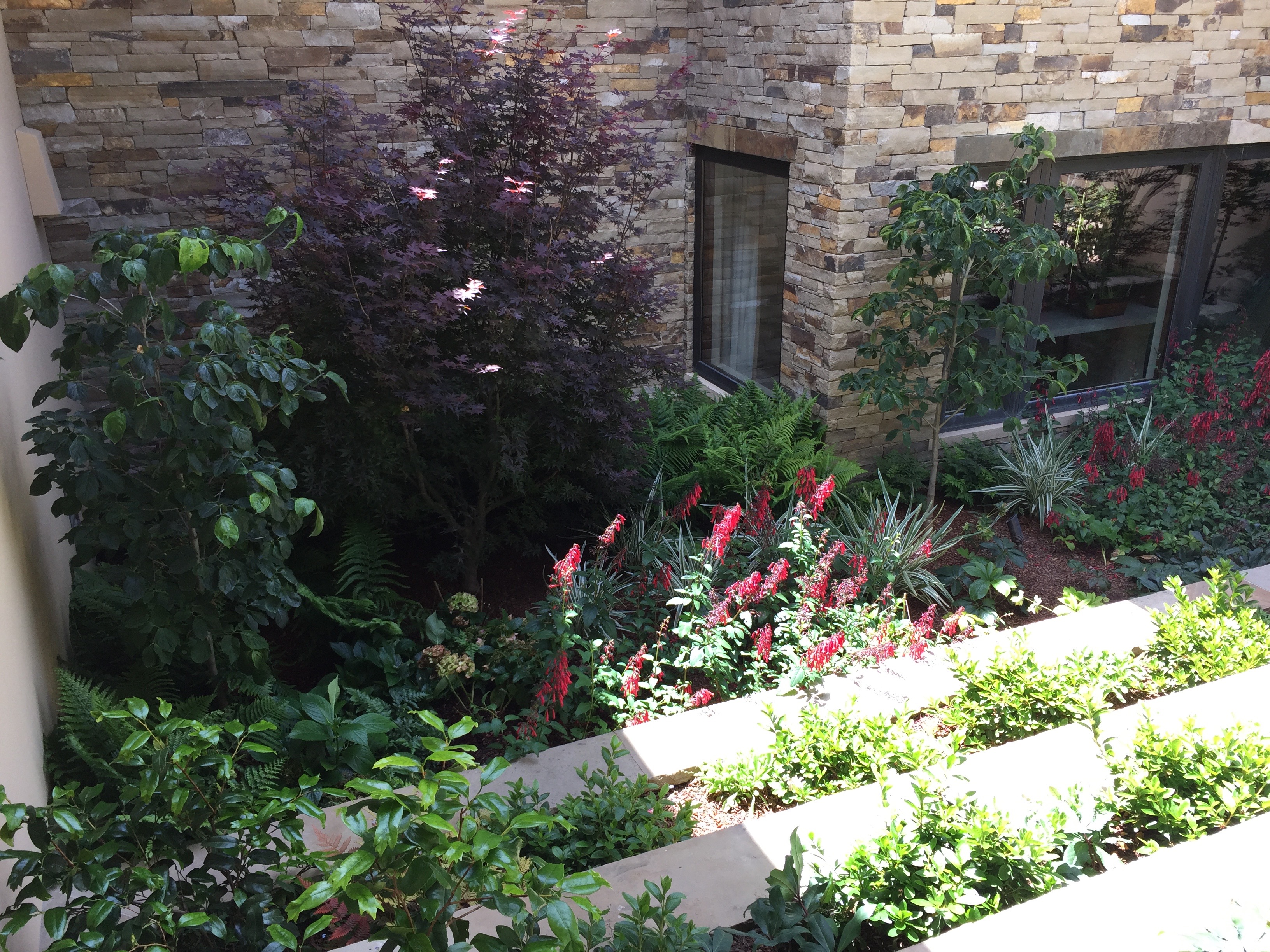 Terrace Solution + Plants