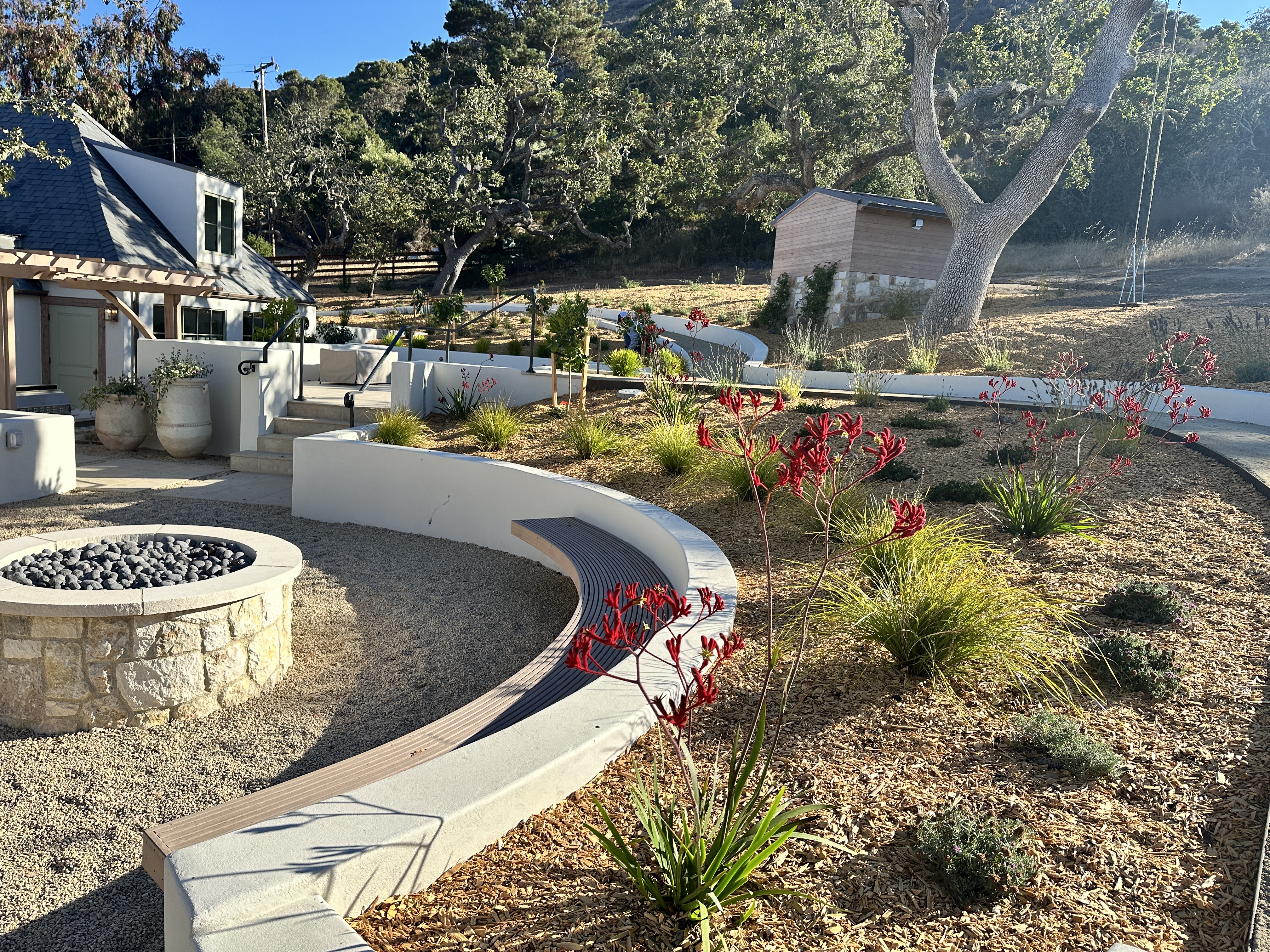 Encina Firepit area and plants begnings