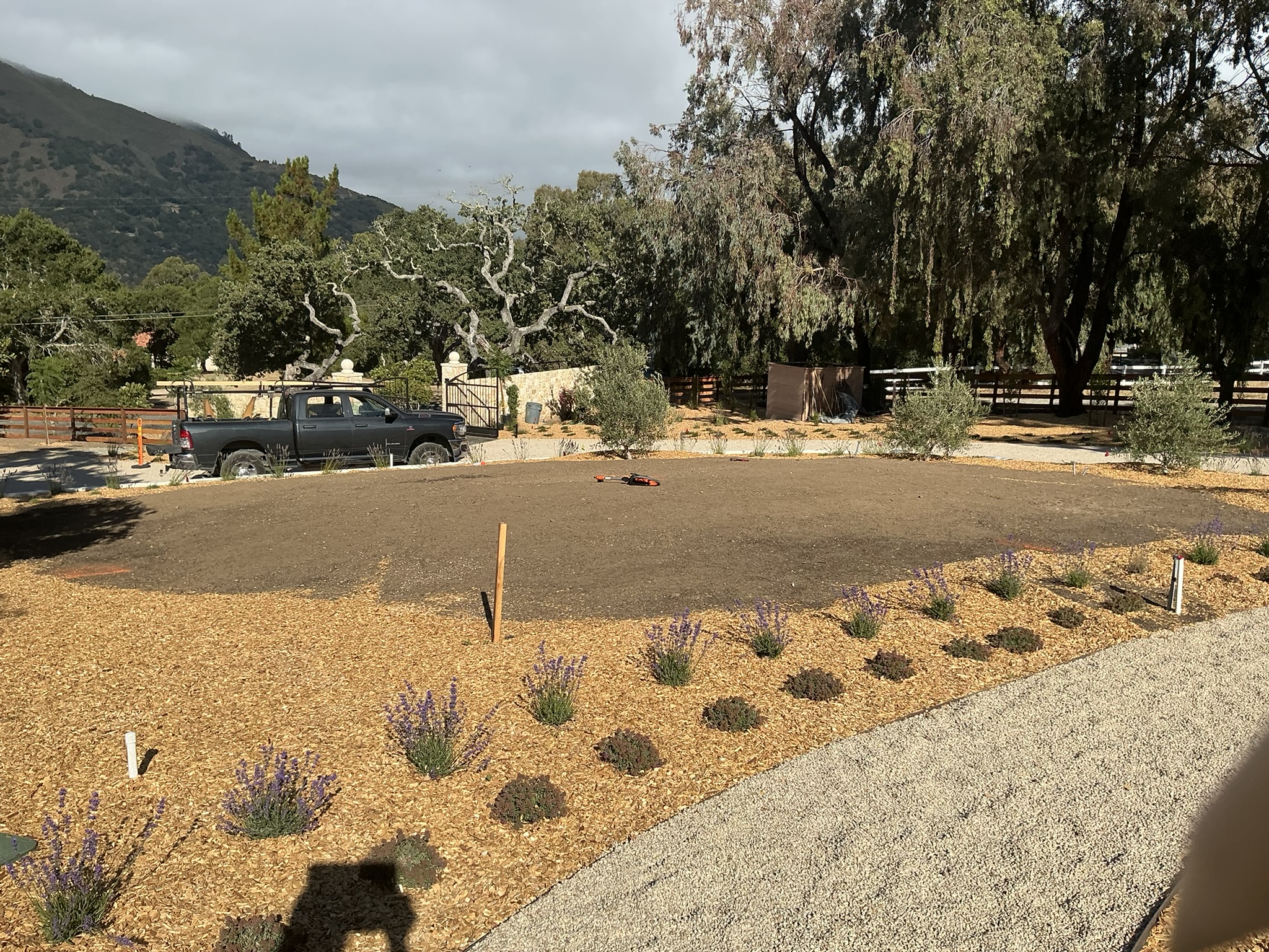 Carmel Valley Landscape