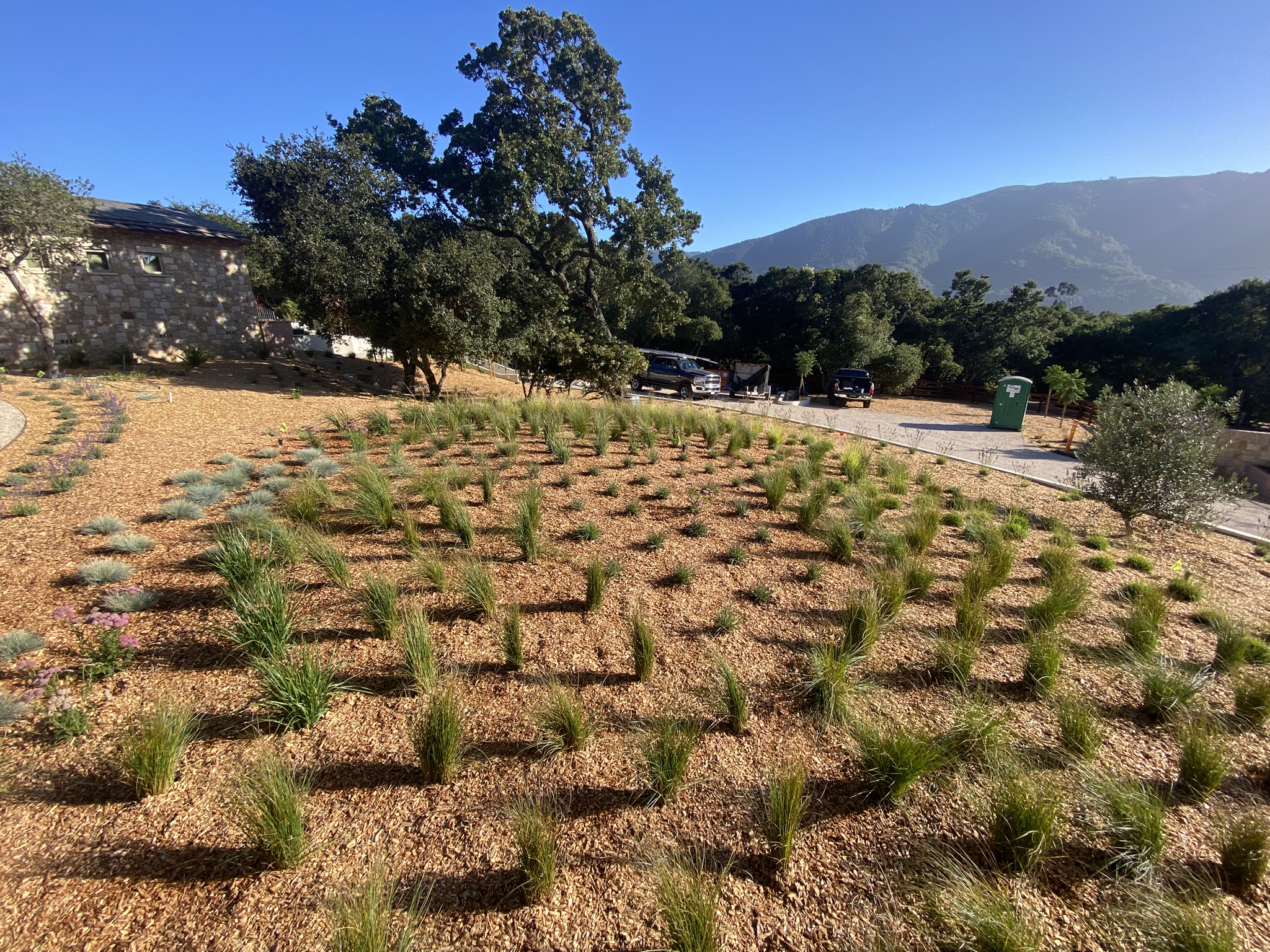 Carmel Valley Landscape