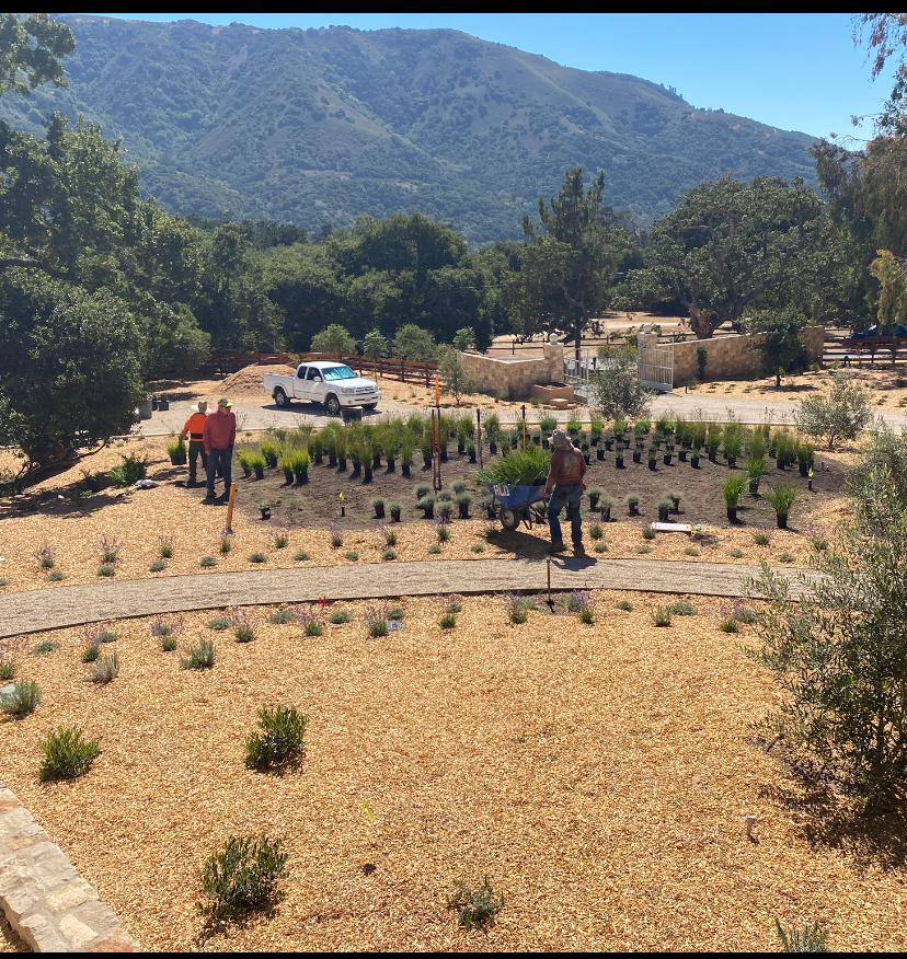 Carmel Valley Landscape