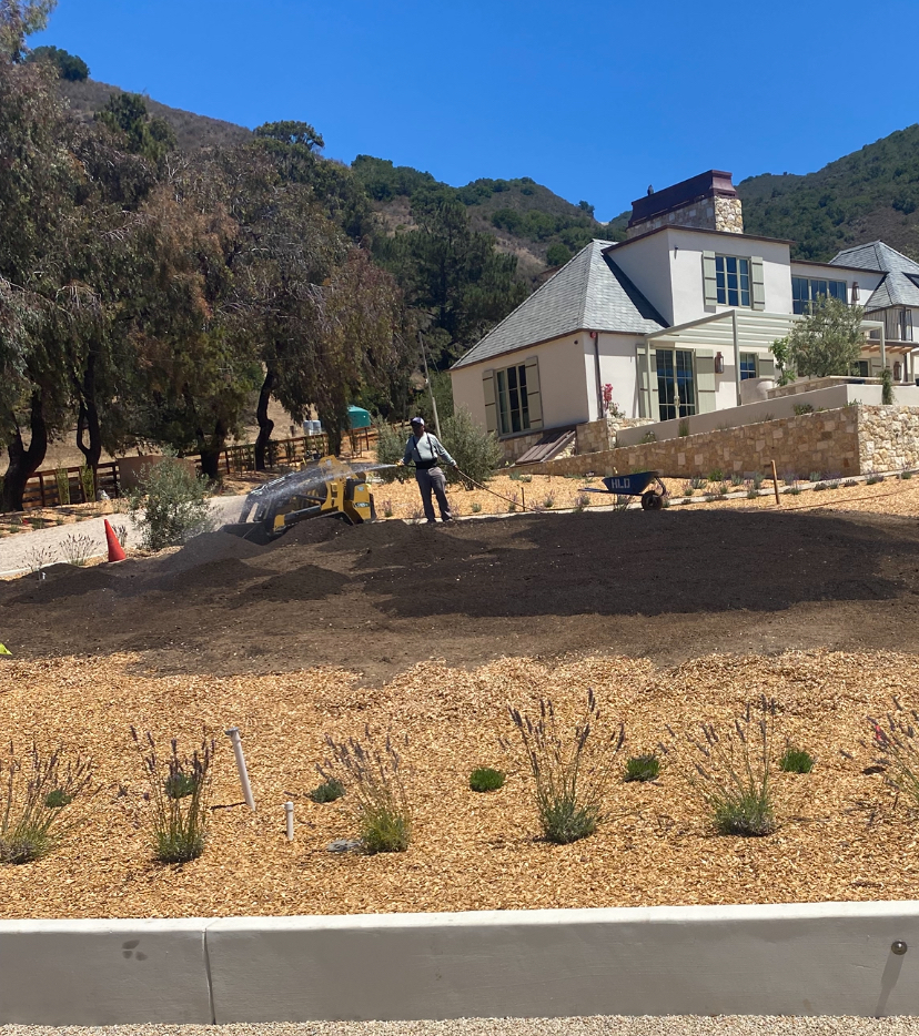 Carmel Valley Landscape