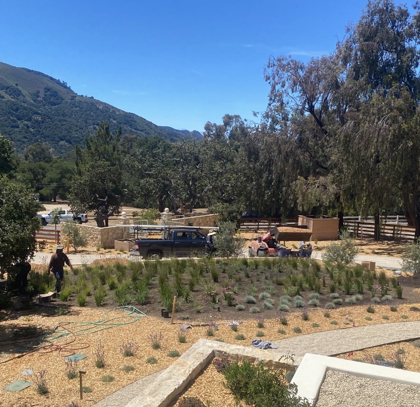 Carmel Valley Landscape